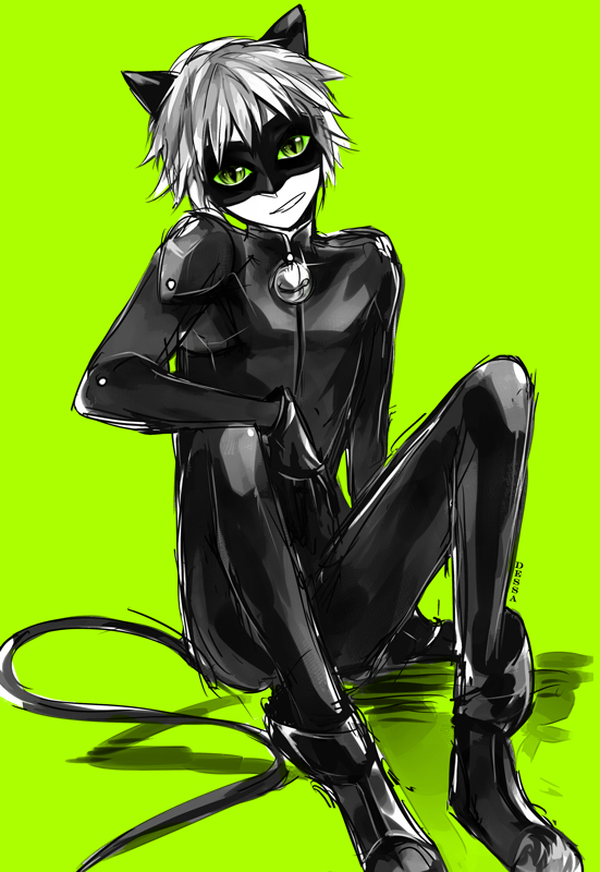 Miraculous ladybug: Chat noir