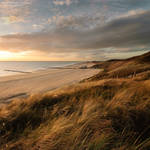 Dunes in November Light by Svision