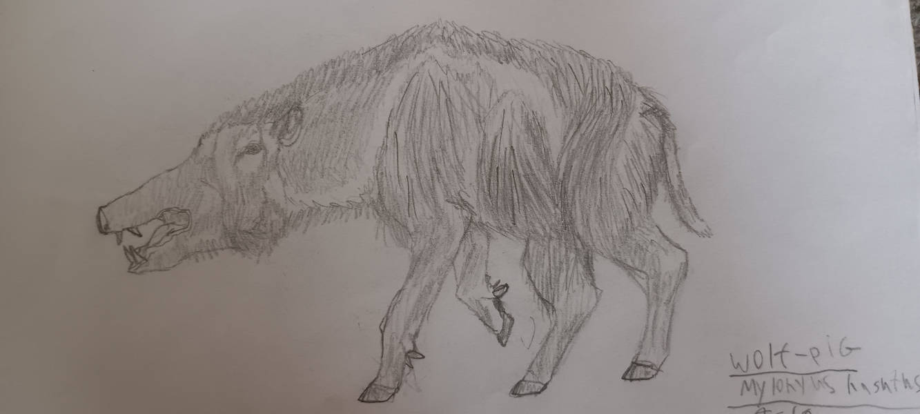 Wolf Pig By Srjf1 On DeviantArt