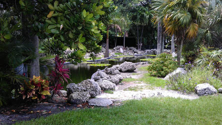 Oasis in Miami Park