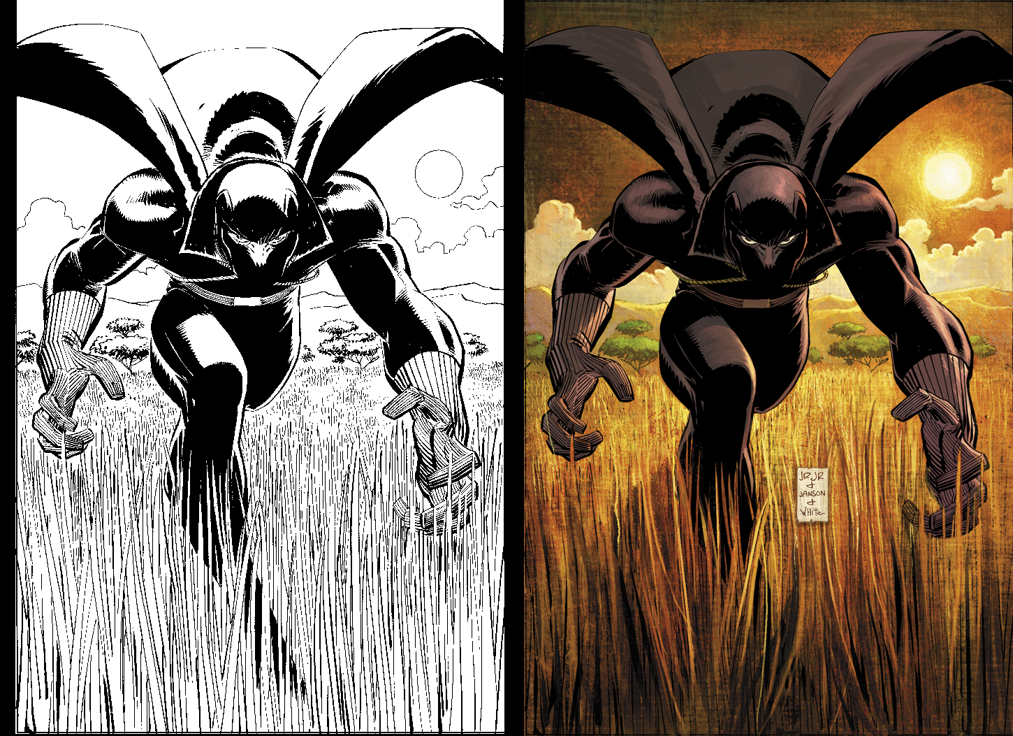 Black Panther 1 BW to Color