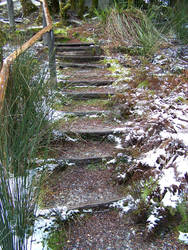 Nature Steps In Amounst Snow