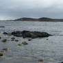 Shallow Water With Rocks