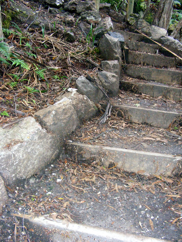 Stairs Through Woods 06