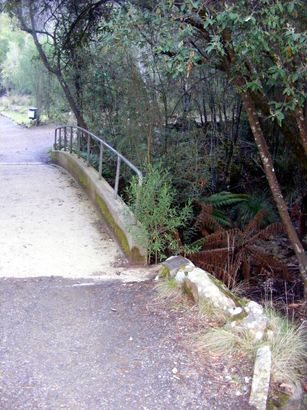 Bridge Through Woods 04