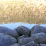 Rocks And Water 03