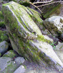Rock With Moss