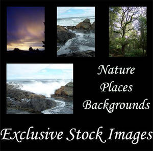 Exclusive Stock - Backgrounds