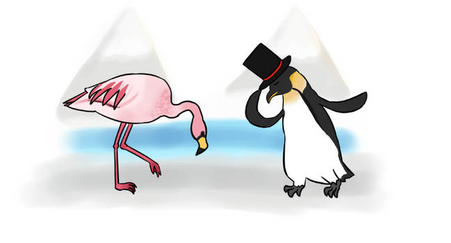 Flamingo and Penguin