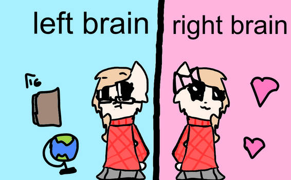 the left and right brain