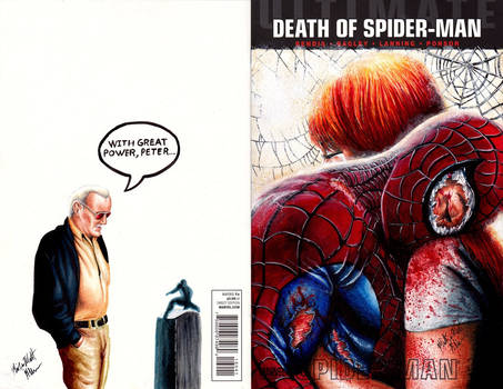 Death of Spider-man Cover by Glebe