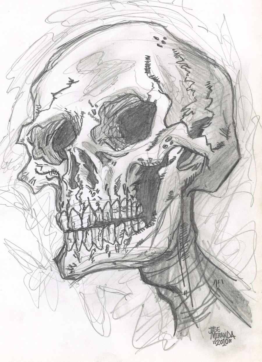 Skull Sketch