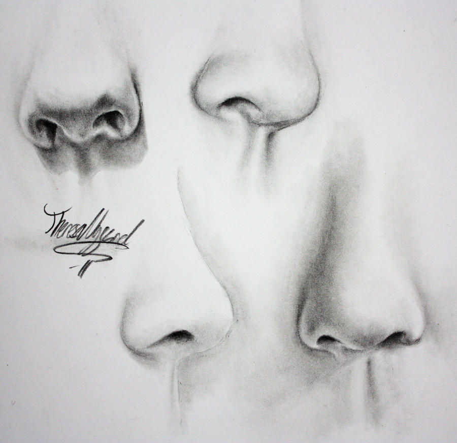 Noses