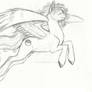 Pony Commissions: Prelim set 1