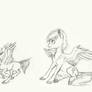 Rainbow Dash: Age thingy
