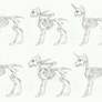 MLP- Skeleton anatomy doodle
