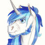 Shining Armor