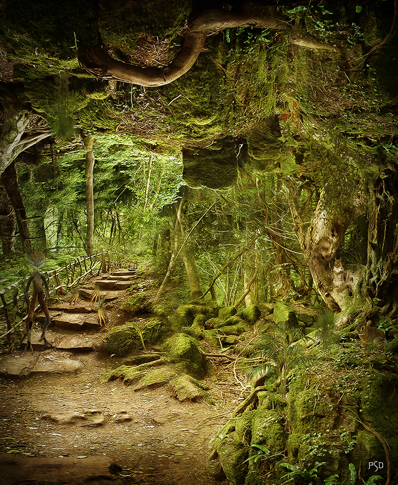 La Foret Magique By Thyc Graphics On Deviantart La Foret Magique By Thyc Graphics On Deviantart