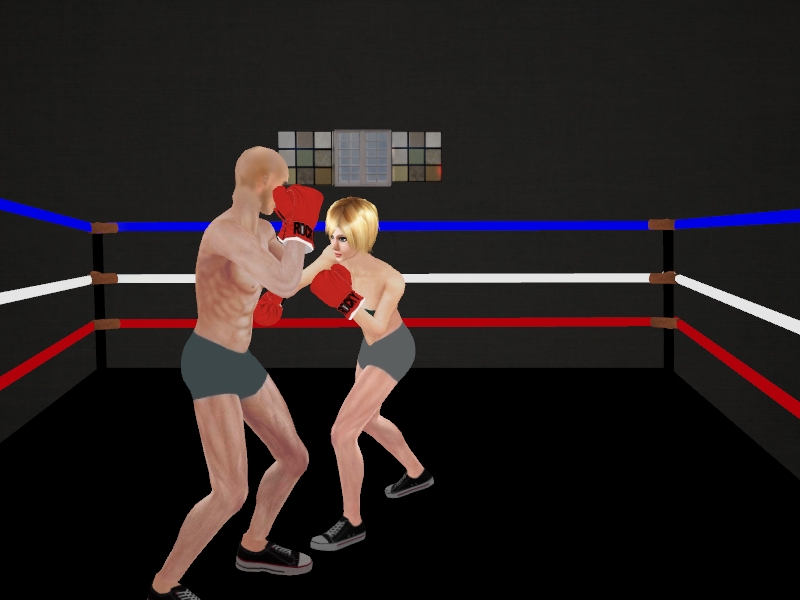 Intergender Boxing 05