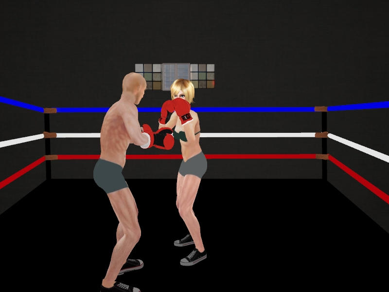 Intergender Boxing 09 by andypedro on DeviantArt
