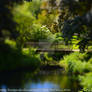 Small romantic bridge