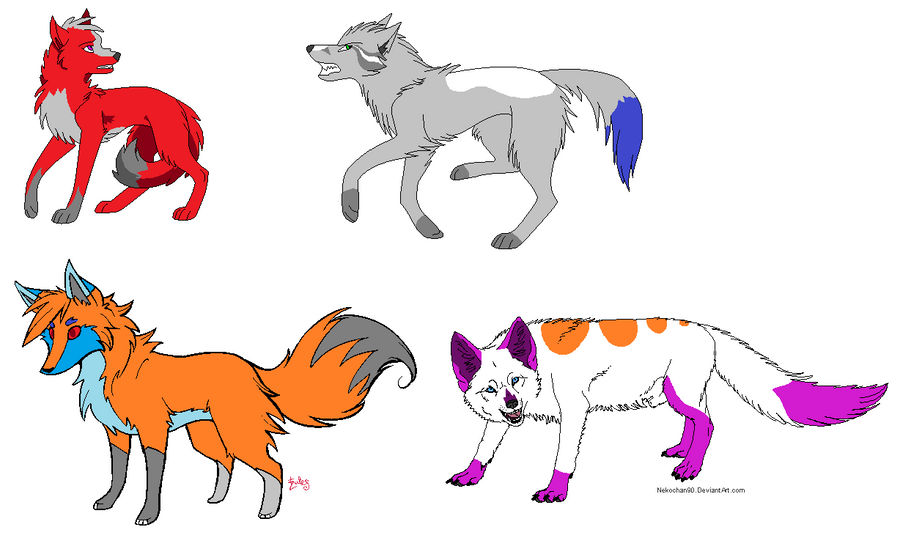 wolf and fox adopts