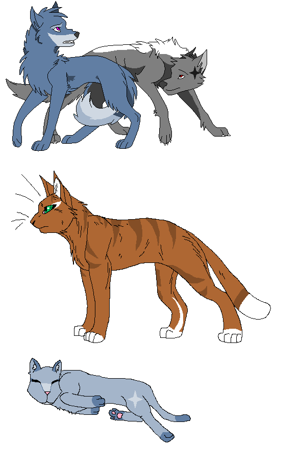 wolf and cat adopts