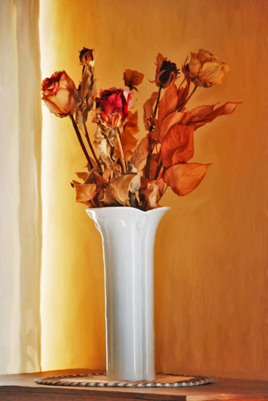 Dead Roses by Abyssinians on DeviantArt