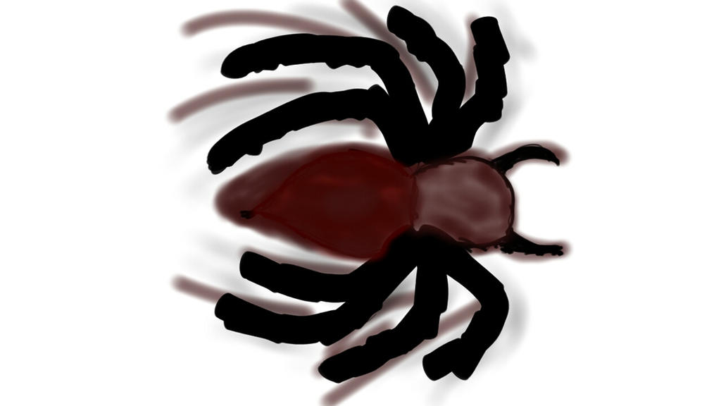 Deviantart Spider Spider by Clay1974 on DeviantArt