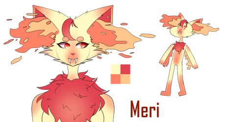 Meri