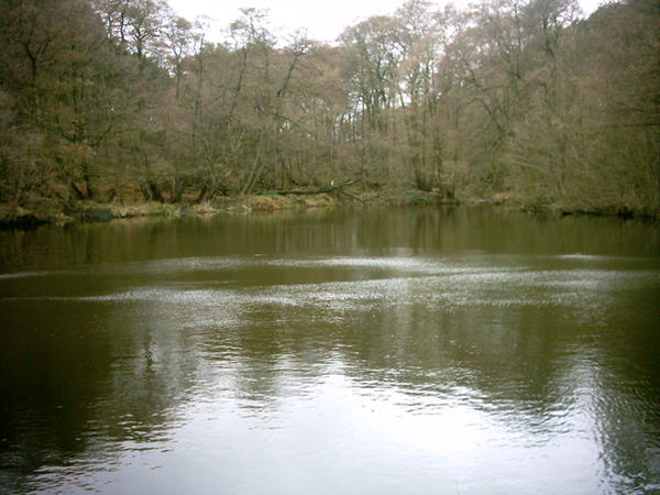 The Lake by Digital-Pirate on DeviantArt