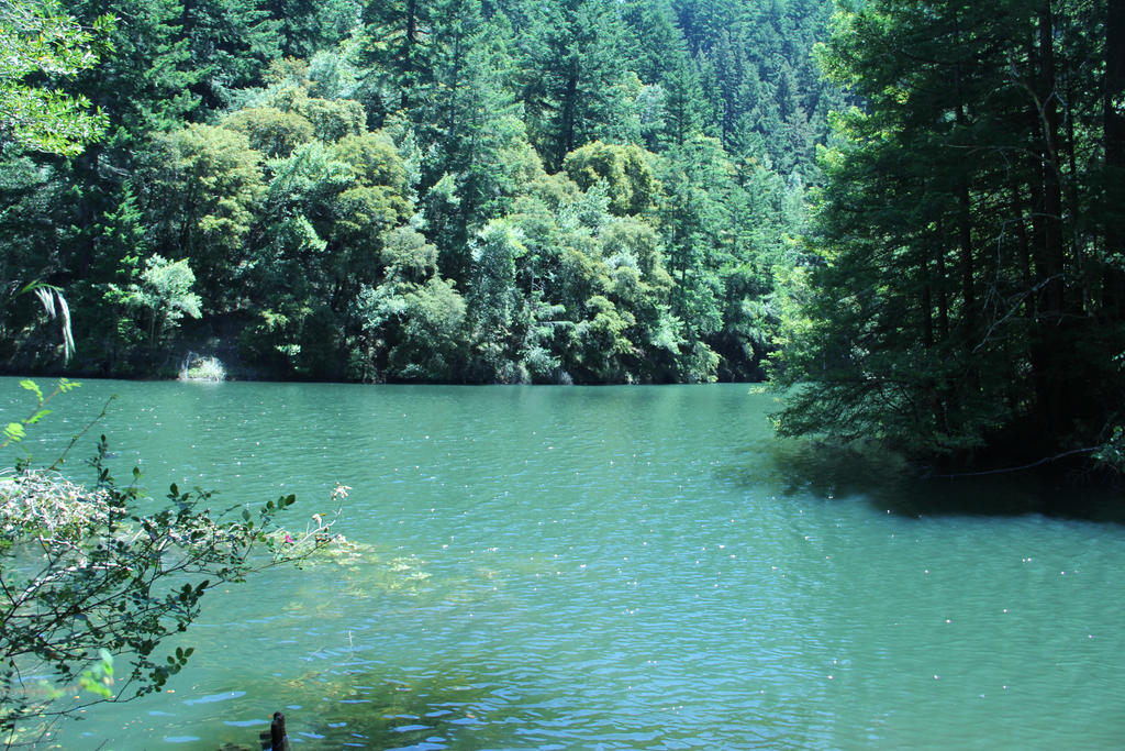 Mt Tamalpais Lake (2)