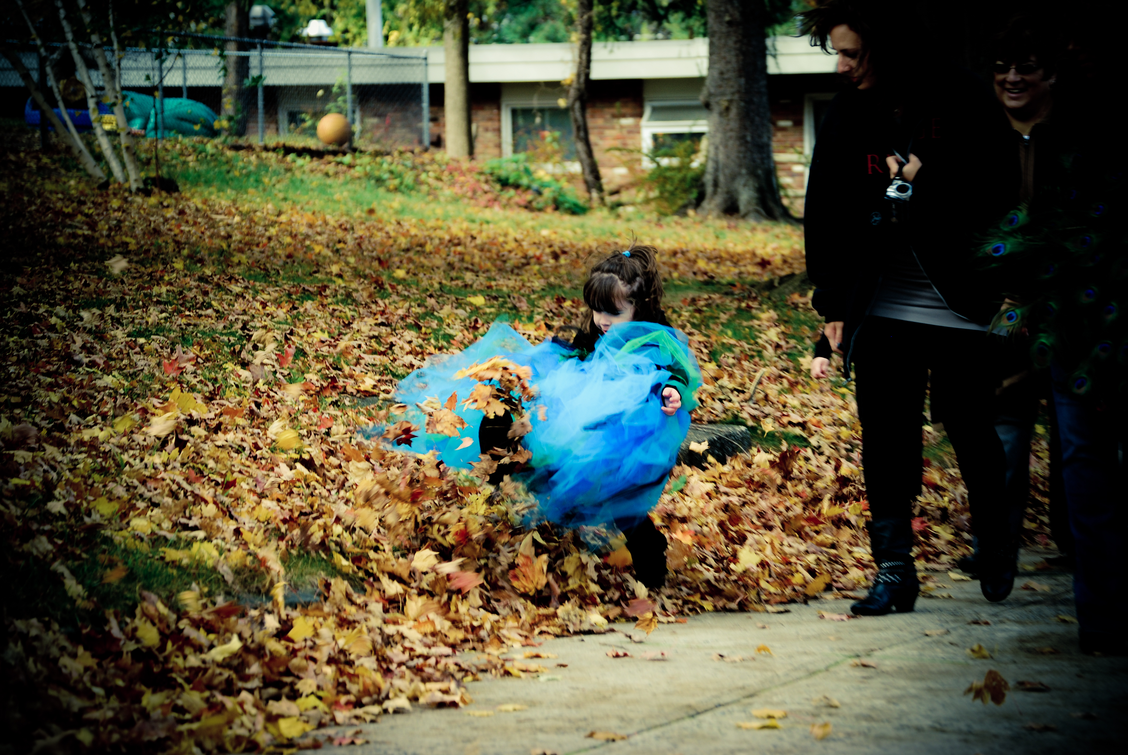 Kicking Through The Leaves