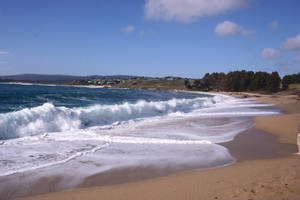 Monterey Bay 2
