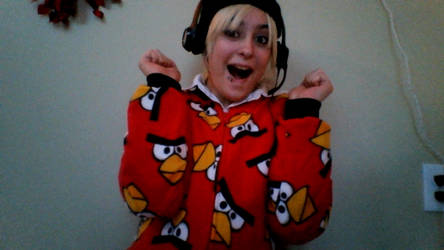 My Angry Birds Pj's