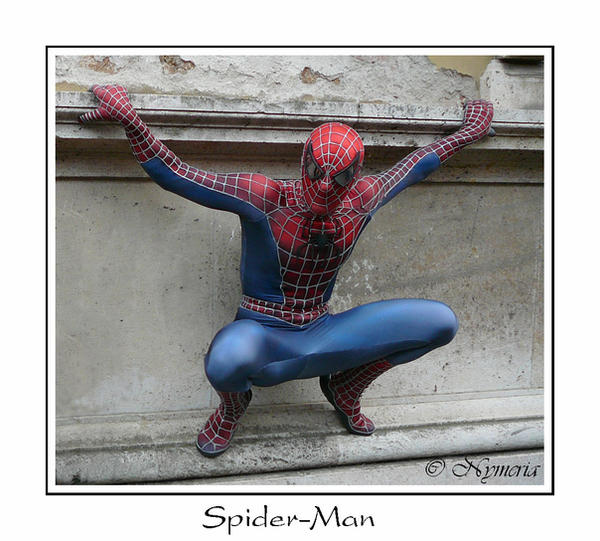 Spider - Man by NymeriaVonHermoder on DeviantArt