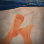 Dirty Feet on a Secondlife Beach