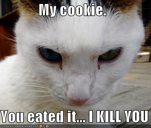 dont ever steal my cookies..XD