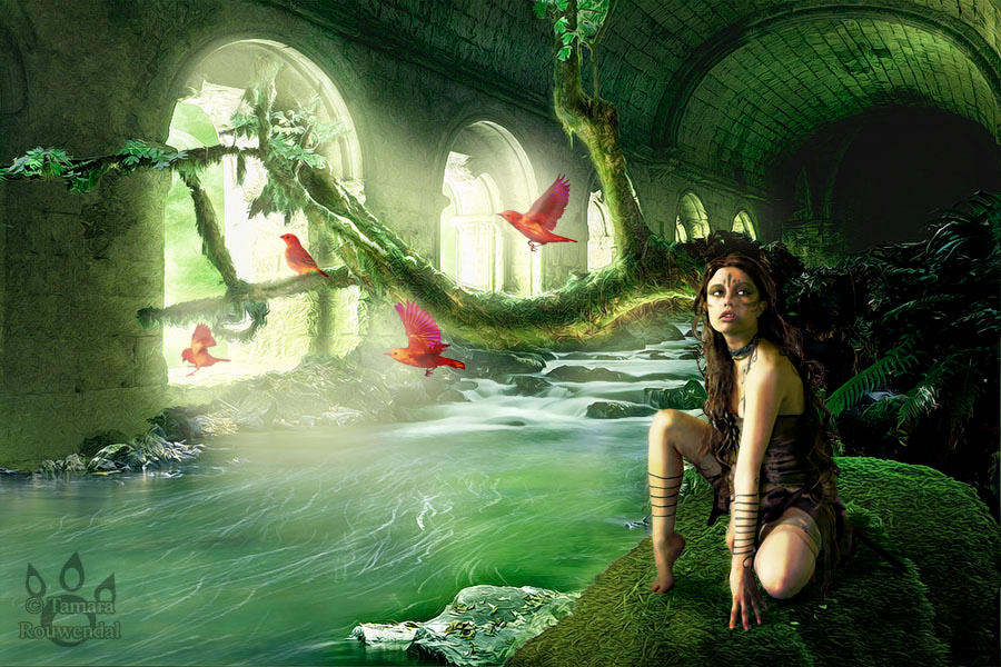 Deviantart Nature Call Call of Nature by tamaraR on DeviantArt