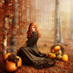 Autumn witch by tamaraR Autumn witch by tamaraR