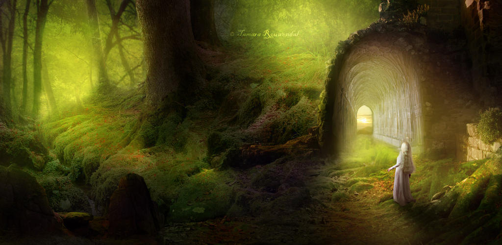 On the other side by tamaraR On the other side by tamaraR