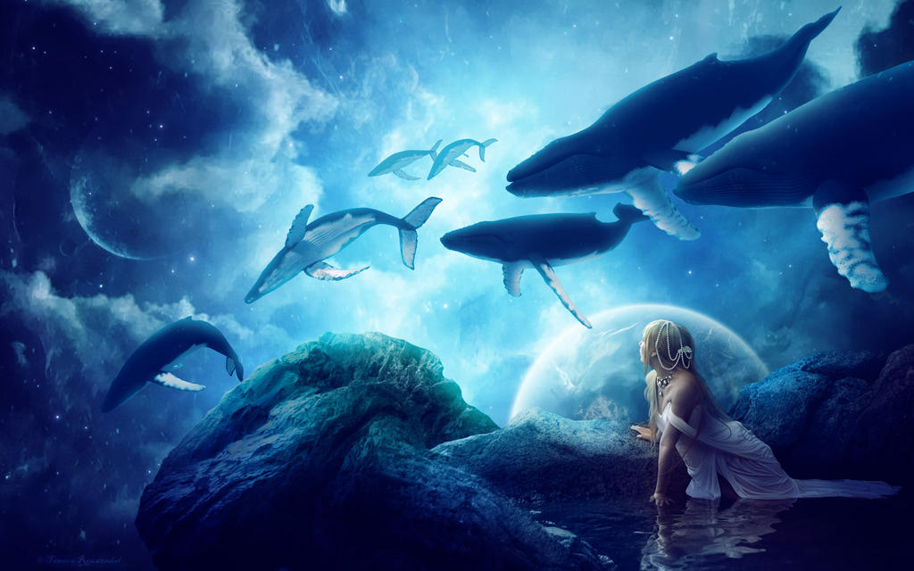 Midnight Whales by tamaraR