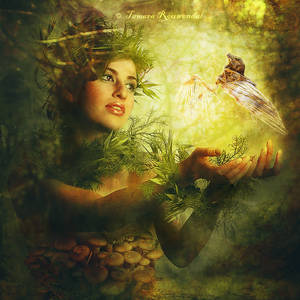 Return to Nature by tamaraR Return to Nature by tamaraR
