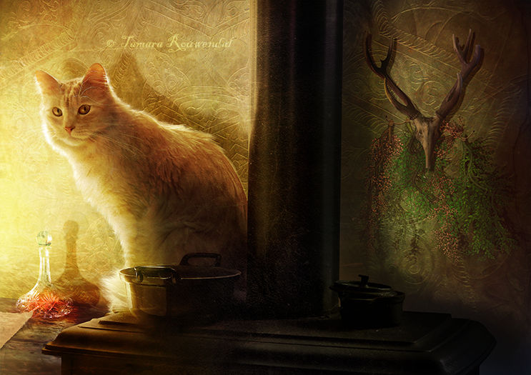 Witch house by tamaraR Witch house by tamaraR