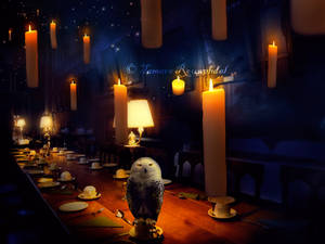 Gryffindor Banquet by tamaraR
