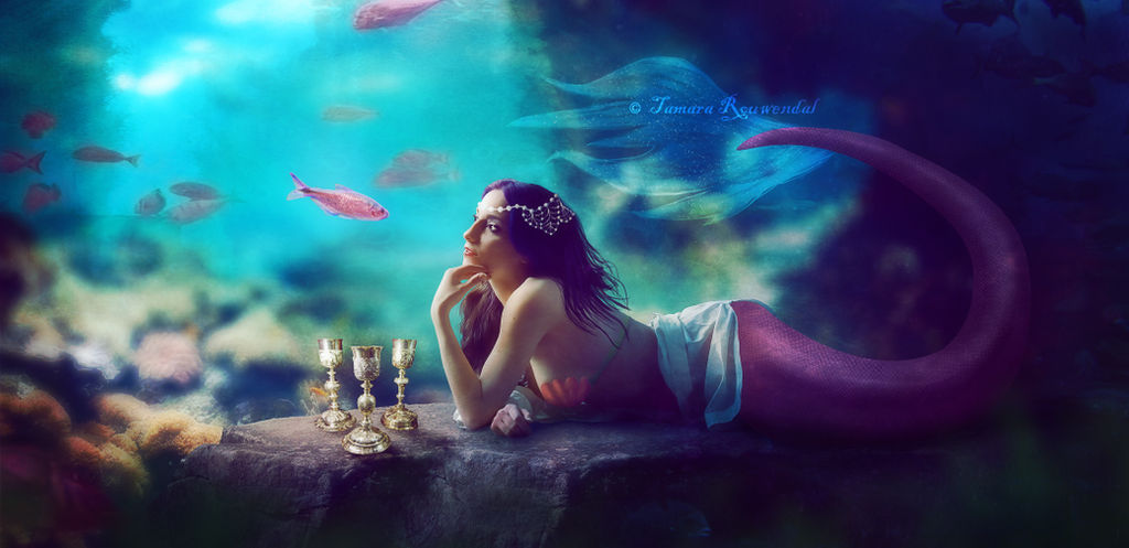 Mermaid Conversation by tamaraR