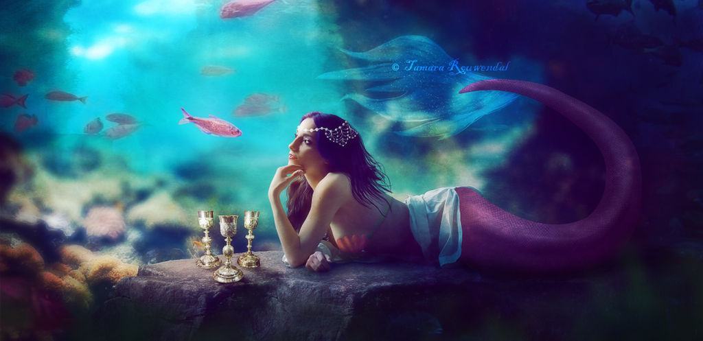 Mermaid Conversation by tamaraR Mermaid Conversation by tamaraR