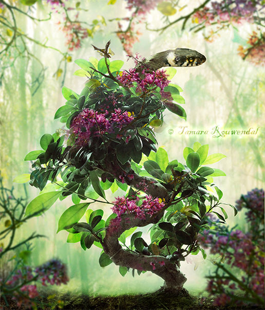 Blossoming Snake by tamaraR Blossoming Snake by tamaraR