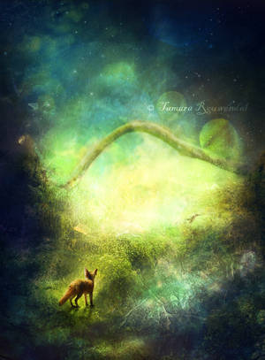 Little Fox's Grand Adventure by tamaraR