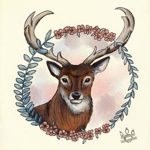 The Deer and The Wild Flowers by tamaraR The Deer and The Wild Flowers by tamaraR